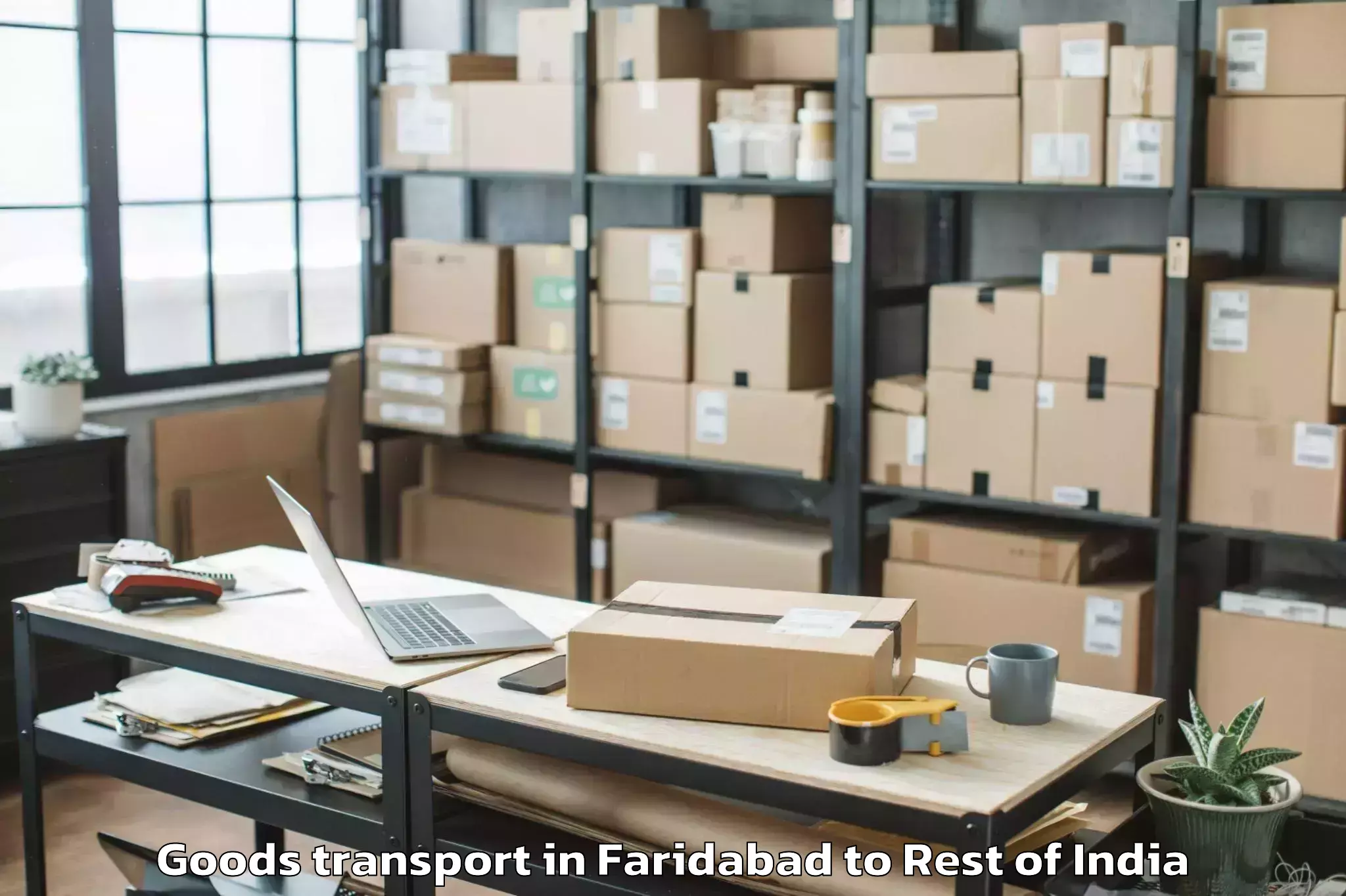 Quality Faridabad to Mella Chervu Goods Transport